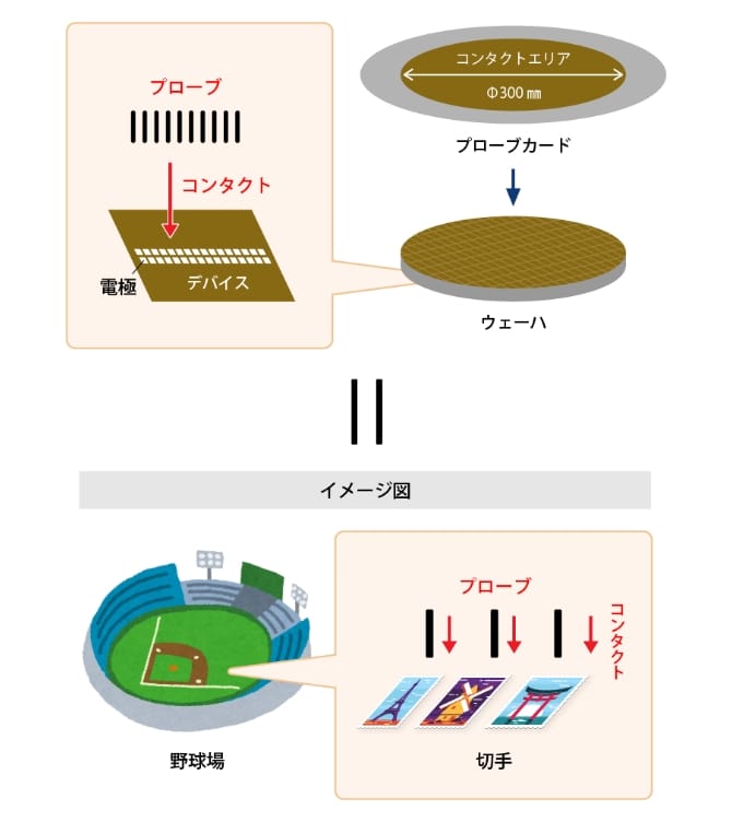 プローブカードのサイズイメージ図